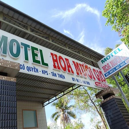 Отель Nha Nghi Hoa Muoi Gio Tan Tao Экстерьер фото